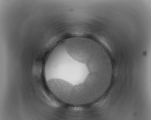 X0000090720645200707271153