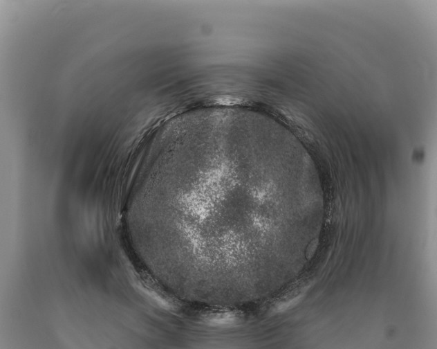 X0000090720646200707271153
