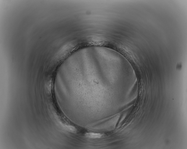 X0000090720647200707271153