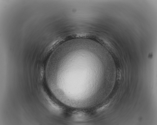X0000090720648200707271153
