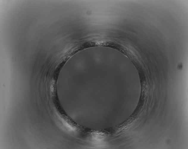 X0000090720650200707271153