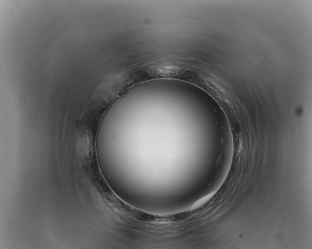 X0000090720651200707271153