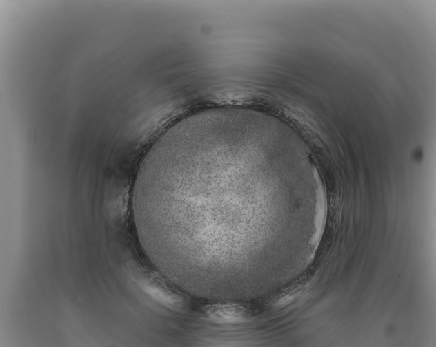 X0000090720652200707271153