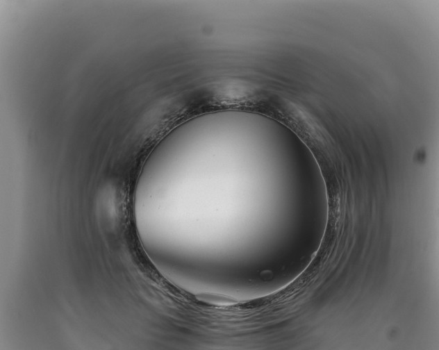 X0000090720653200707271153