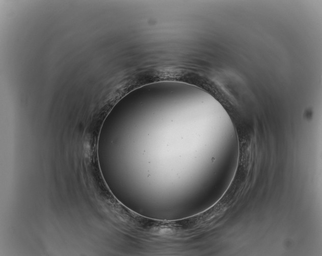 X0000090720655200707271153