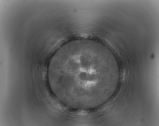 X0000090720656200707271153