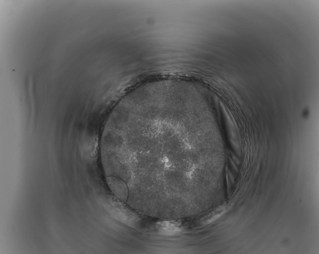 X0000090720660200707271153