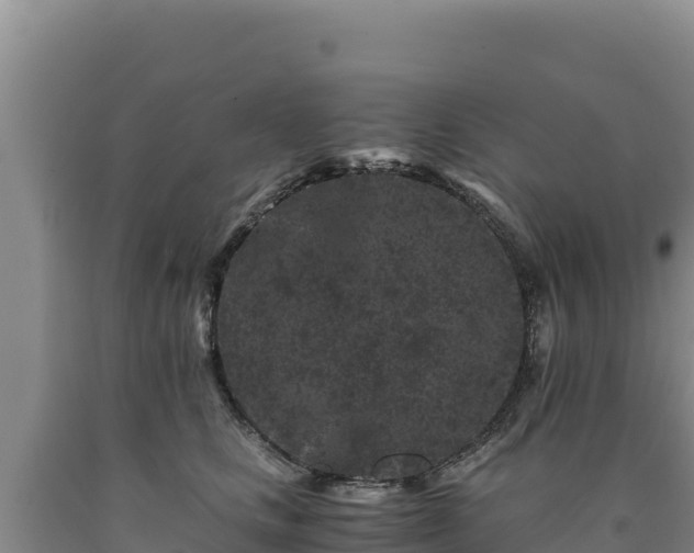 X0000090720661200707271153