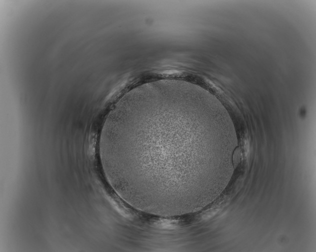 X0000090720664200707271154