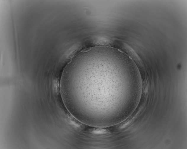 X0000090720669200707271154