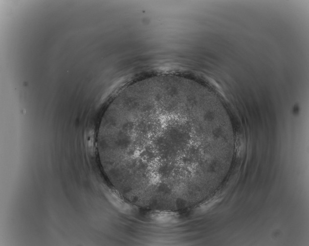 X0000090720670200707271154
