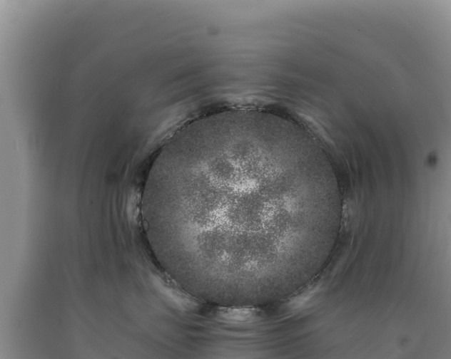 X0000090720671200707271154