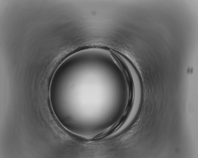 X0000090720673200707271153