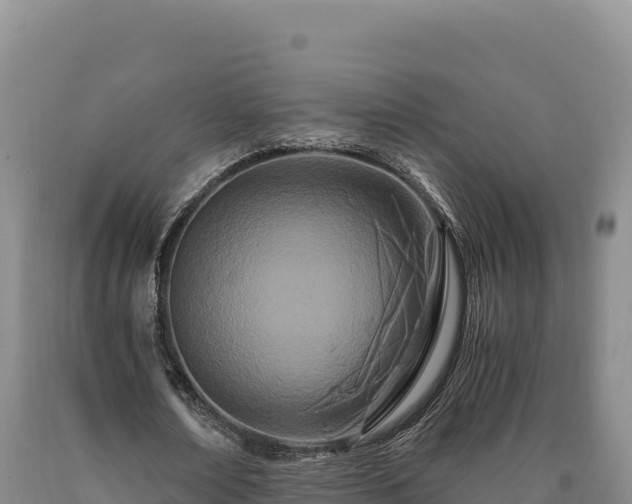 X0000090720674200707271153