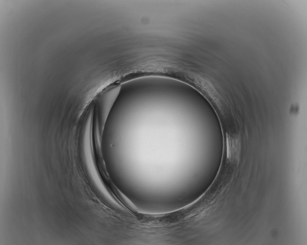 X0000090720675200707271153