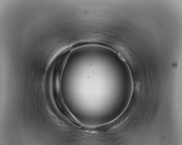 X0000090720676200707271153