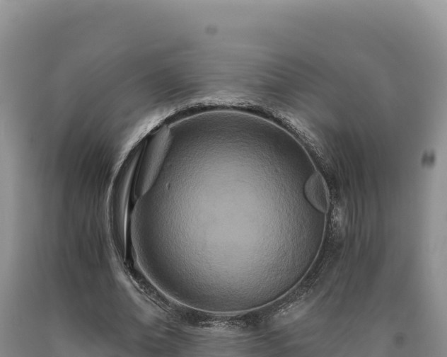 X0000090720678200707271153