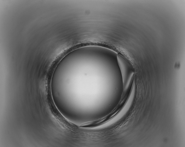 X0000090720680200707271153