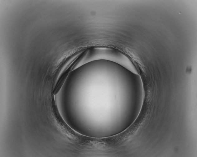 X0000090720681200707271153