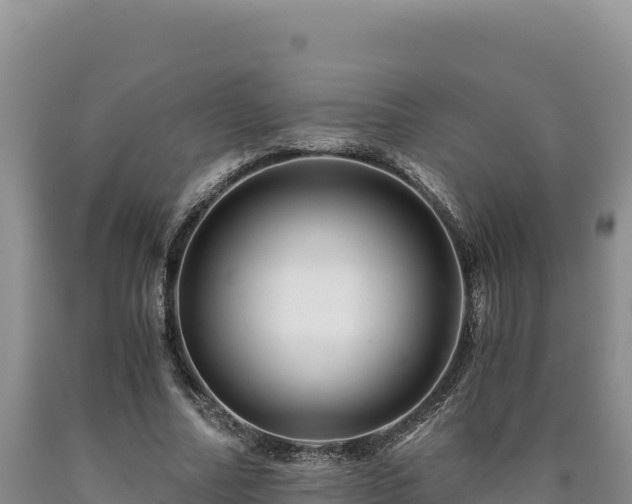 X0000090720682200707271153