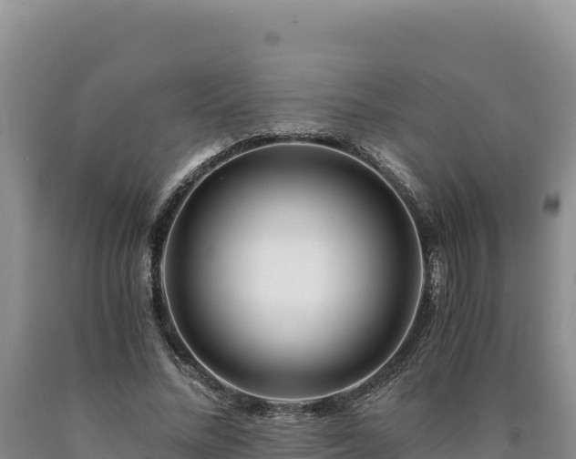 X0000090720684200707271153