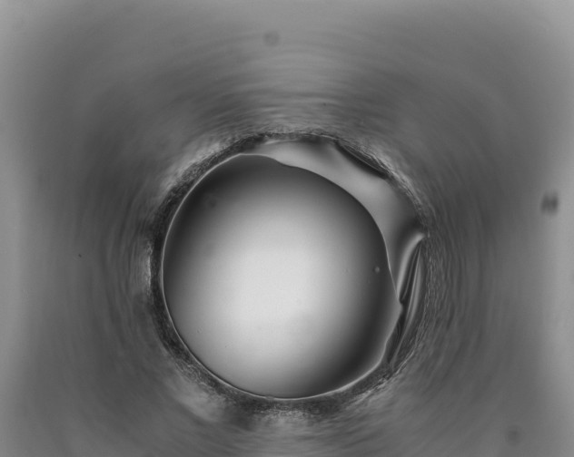 X0000090720685200707271153