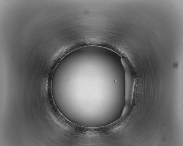 X0000090720686200707271153