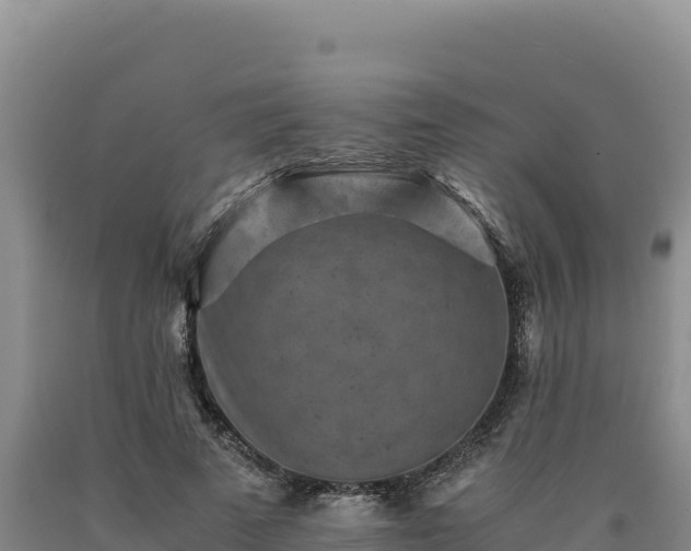 X0000090720689200707271153