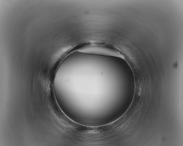 X0000090720692200707271153