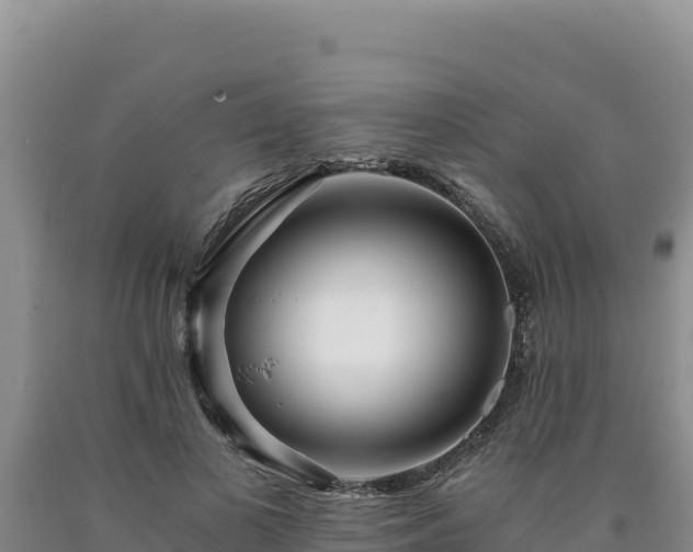 X0000090720693200707271153