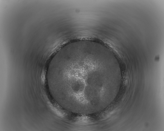X0000090720695200707271153
