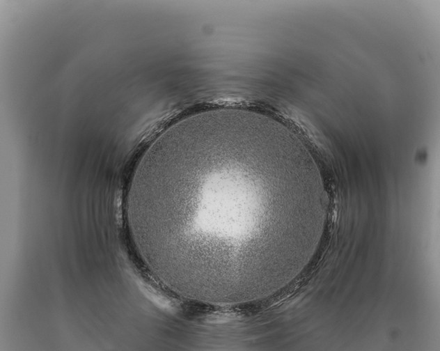 X0000090720696200707271153