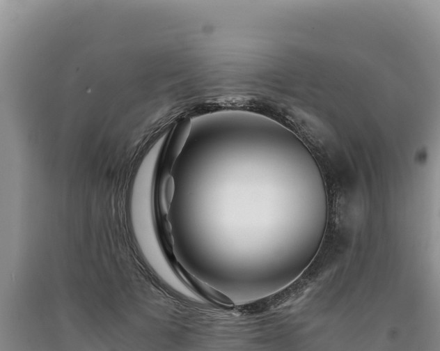 X0000090720697200707271153