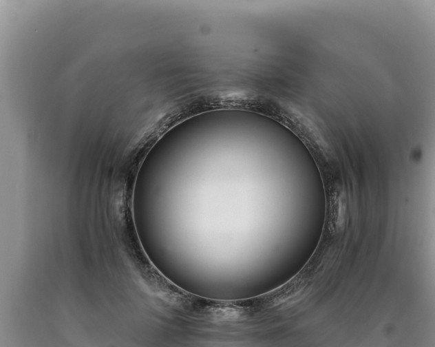 X0000090720698200707271153