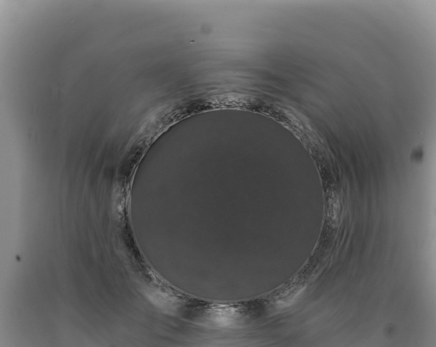 X0000090720701200707271152