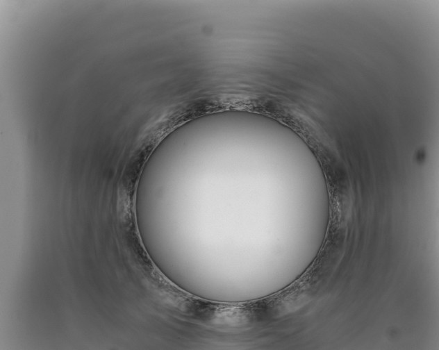 X0000090720705200707271152