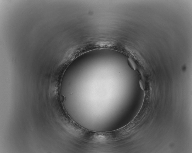 X0000090720706200707271152