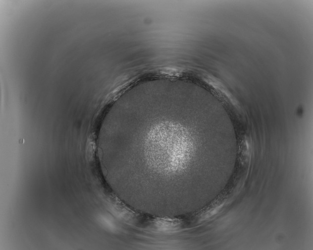 X0000090720707200707271152
