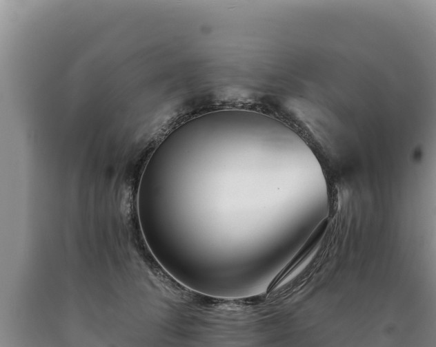 X0000090720708200707271152