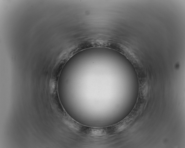X0000090720709200707271152