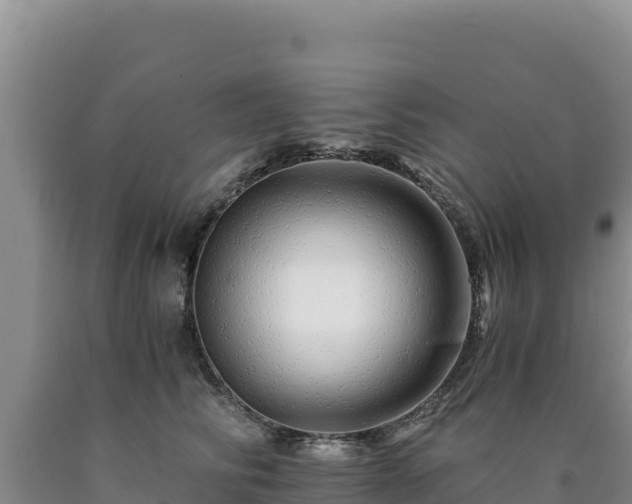 X0000090720710200707271152