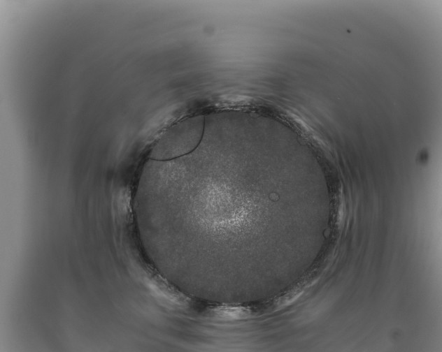 X0000090720711200707271152