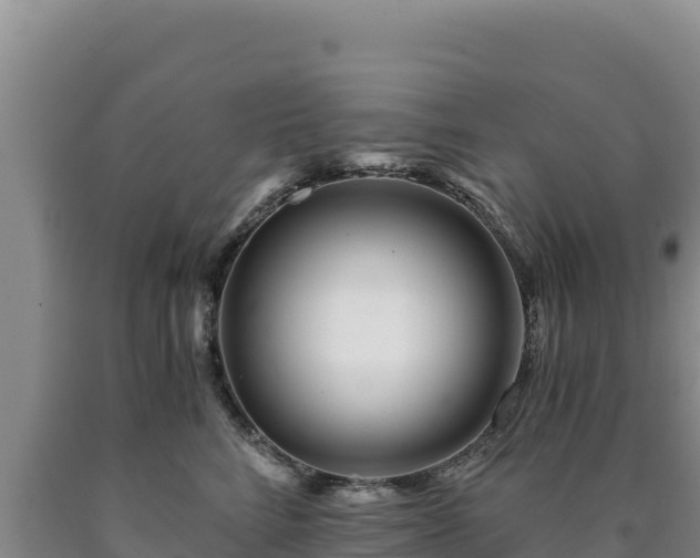 X0000090720712200707271152