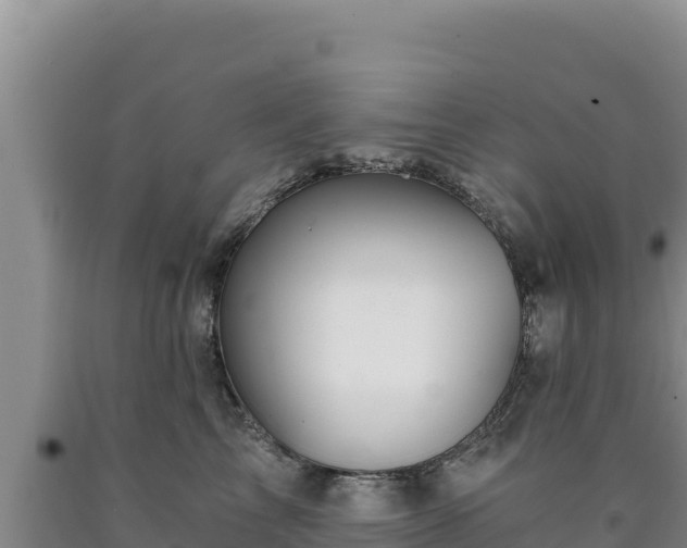 X0000090720713200707271152