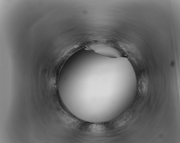 X0000090720714200707271152