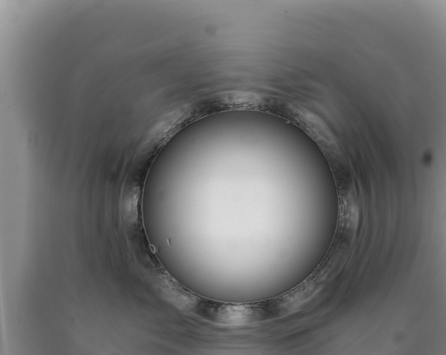 X0000090720717200707271152