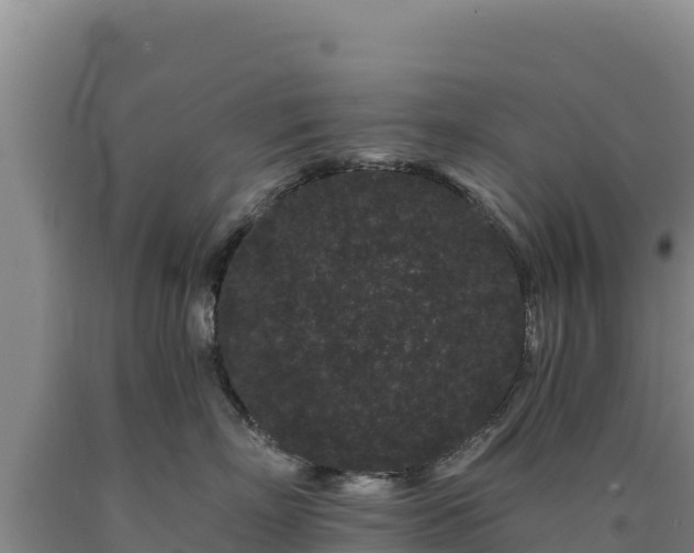 X0000090720718200707271152