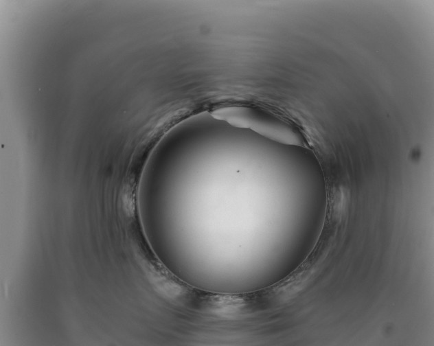 X0000090720719200707271152