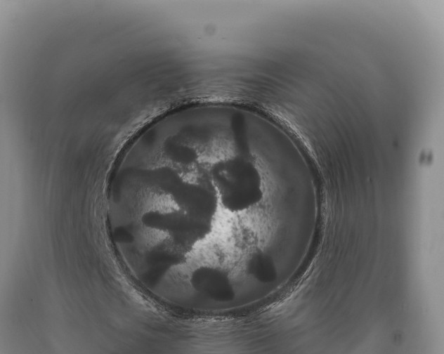 X0000090720721200707271152