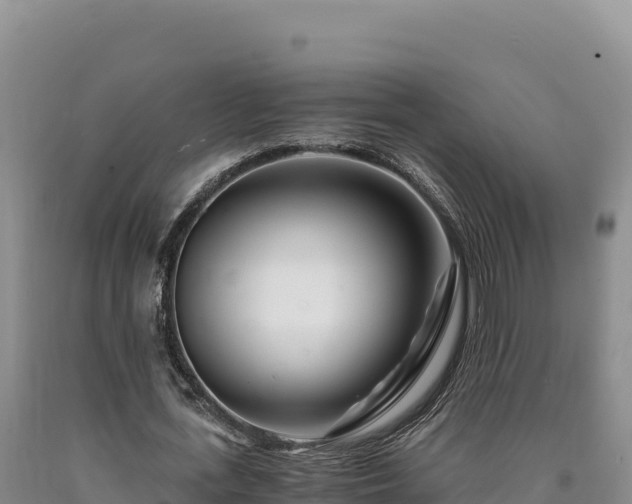 X0000090720723200707271152